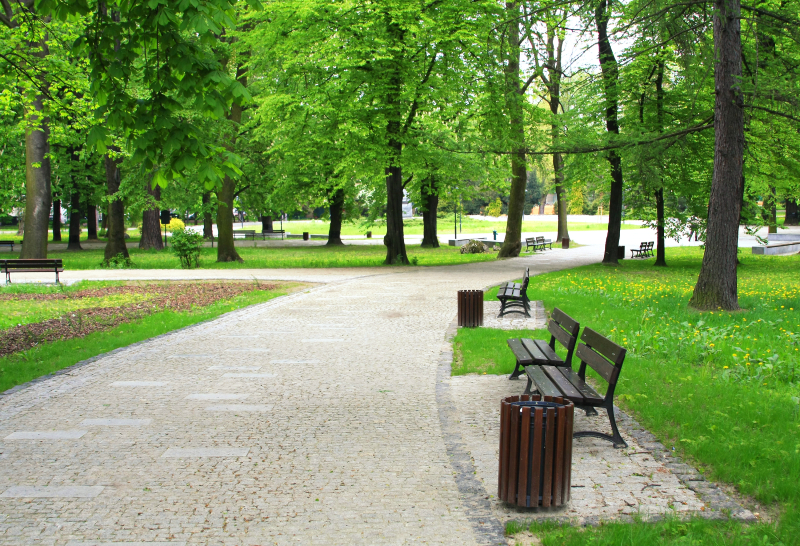 Végétalisation à Toulouse – Parc arboré et verdoyant avec une promenade et des bancs