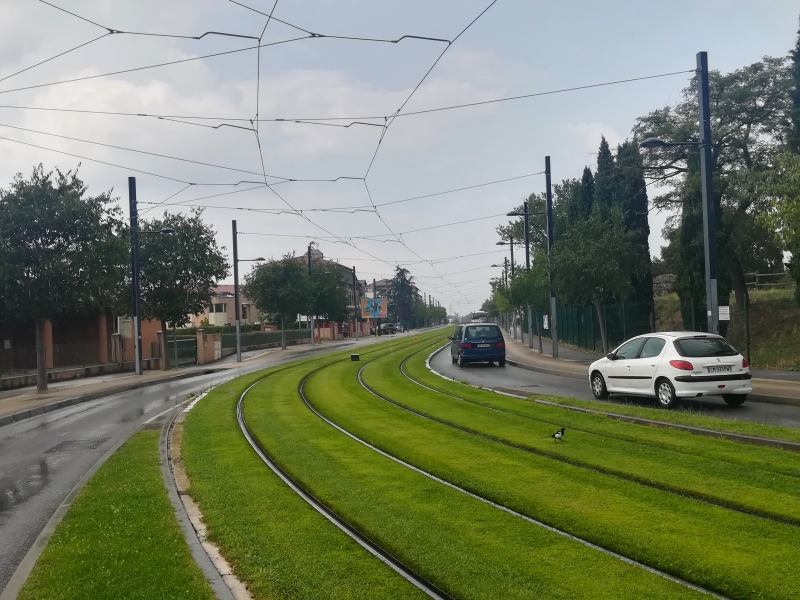 L’immobilier neuf à Purpan – Le tramway au niveau des Arènes Romaines