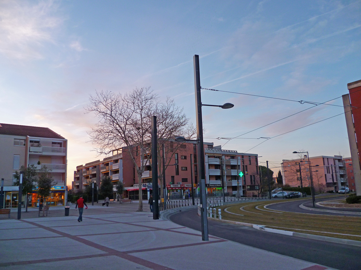 l'avenue des Pins à Blagnac