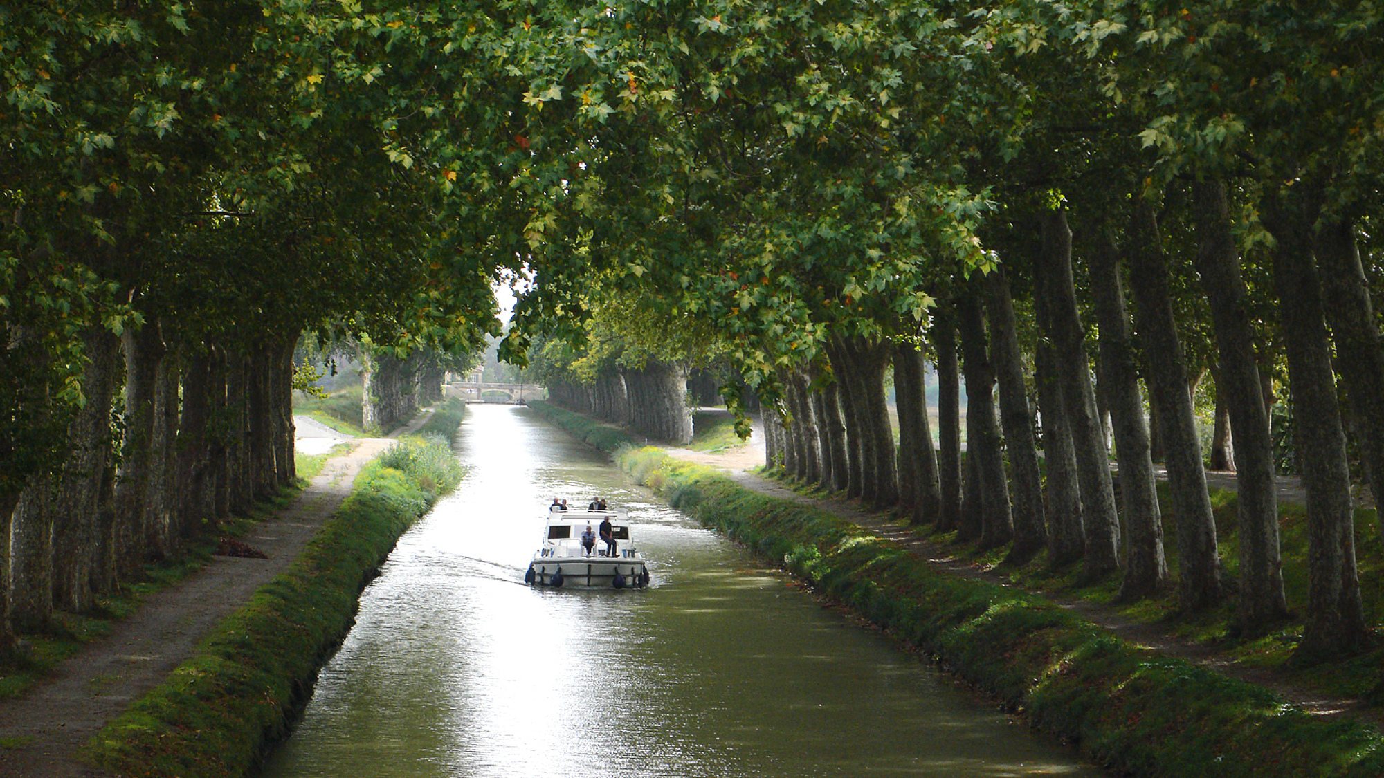 Actualité à Toulouse : Focus sur le projet Grand Parc Canal à Toulouse