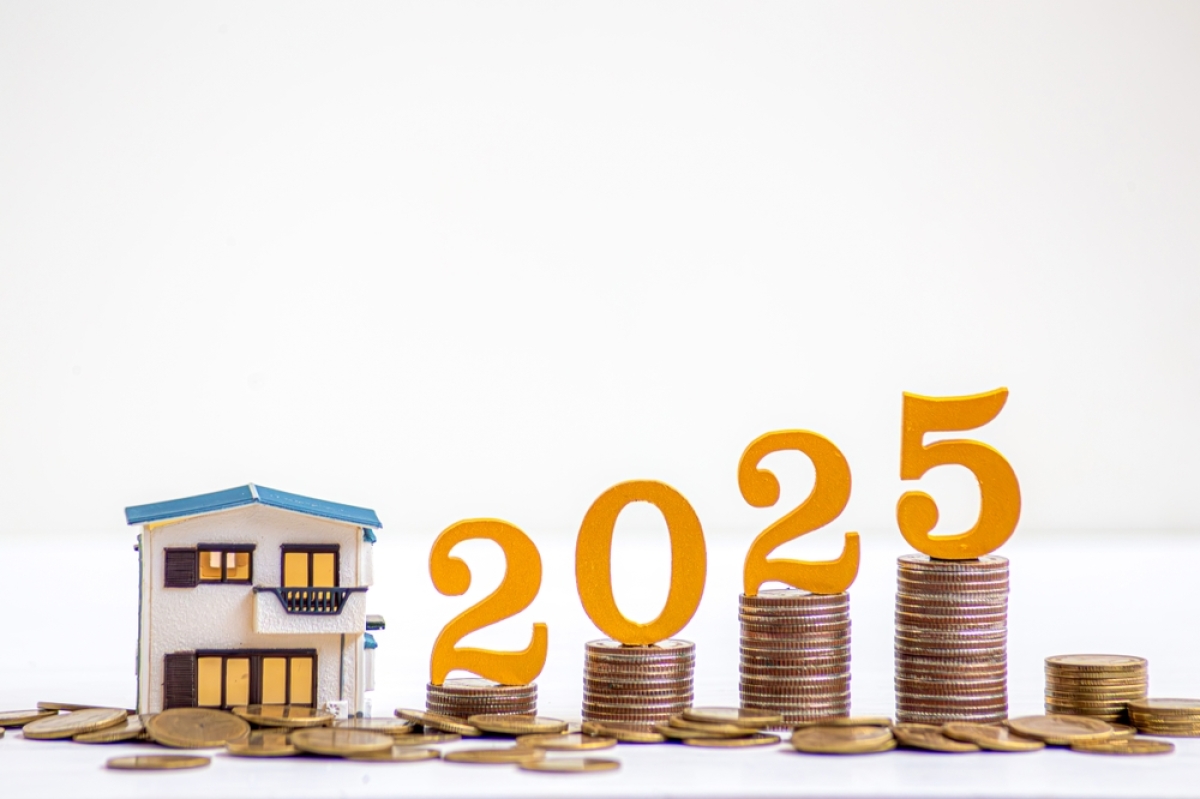 Les nouveautés du PTZ en 2025 Maison miniature et 2025