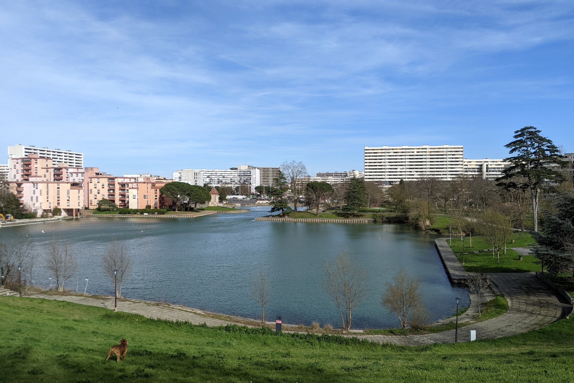 Actualité à Toulouse : Renouvellement urbain de la Reynerie : Quelles ambitions pour 2030 ?