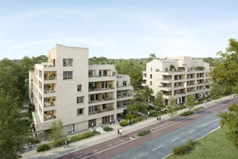 Programme 8024 à Saint-Martin-du-Touch : photo 2