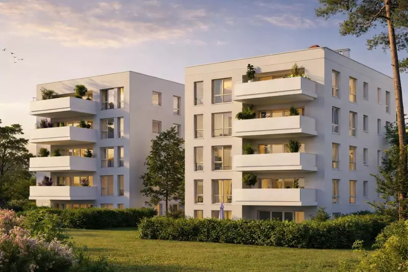 Programme 8045 à Saint-Michel : photo 2