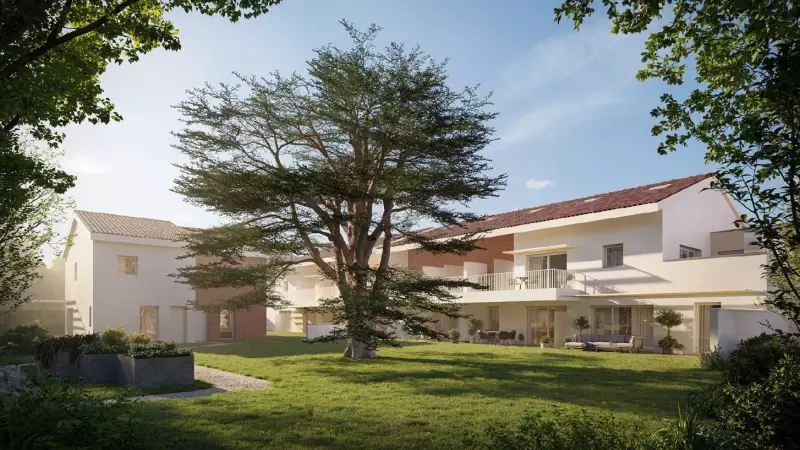 Programme 8043 à Lardenne : photo 0